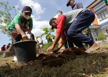 Reboisasi Lahan Kritis dan Hutan Gundul, LDII Gelar Gerakan LDII Tanam Pohon