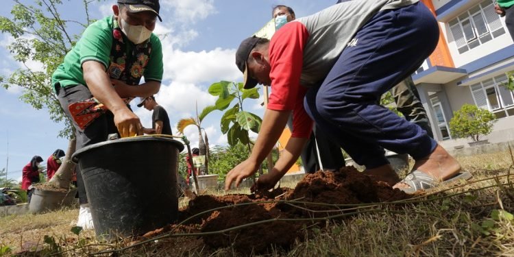 Reboisasi Lahan Kritis dan Hutan Gundul, LDII Gelar Gerakan LDII Tanam Pohon