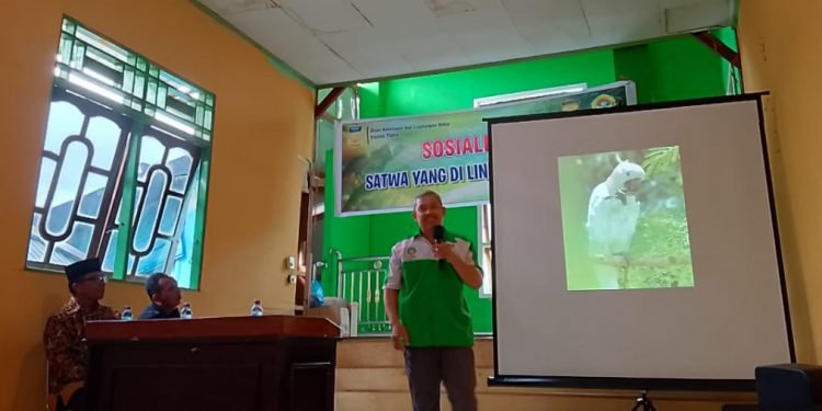 Generasi Muda LDII Heram Ikuti Sosialisasi Satwa Endemik Papua