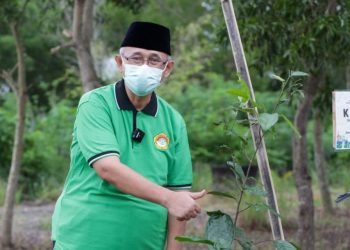 Gerakan Menanam Pohon